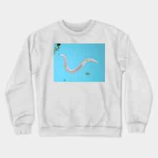 Microscopic free-living nematode worm from garden soil Crewneck Sweatshirt